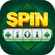 Spin 101